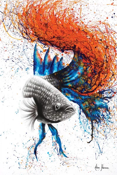 Betta: Sunset Waters by Ashvin Harrison