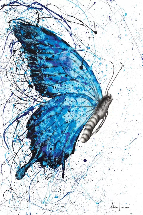 Blue Butterfly Rains