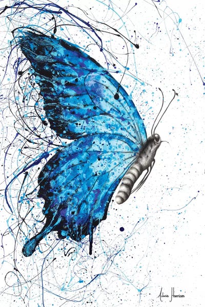 Butterflies: Blue Butterfly Rains by Ashvin Harrison