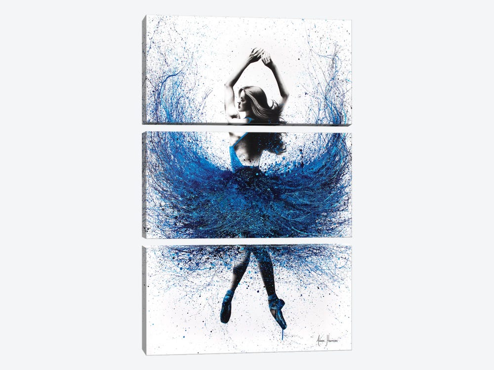Grace Ballerina by Ashvin Harrison 3-piece Canvas Artwork