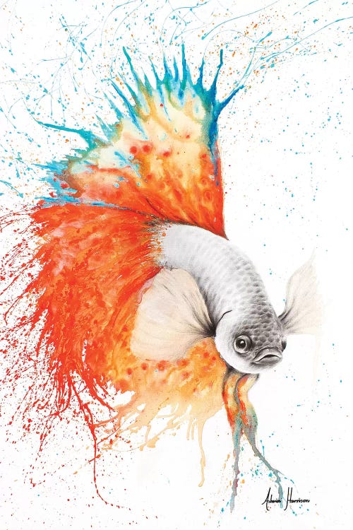 Orange Splice Gourami by Ashvin Harrison wall art