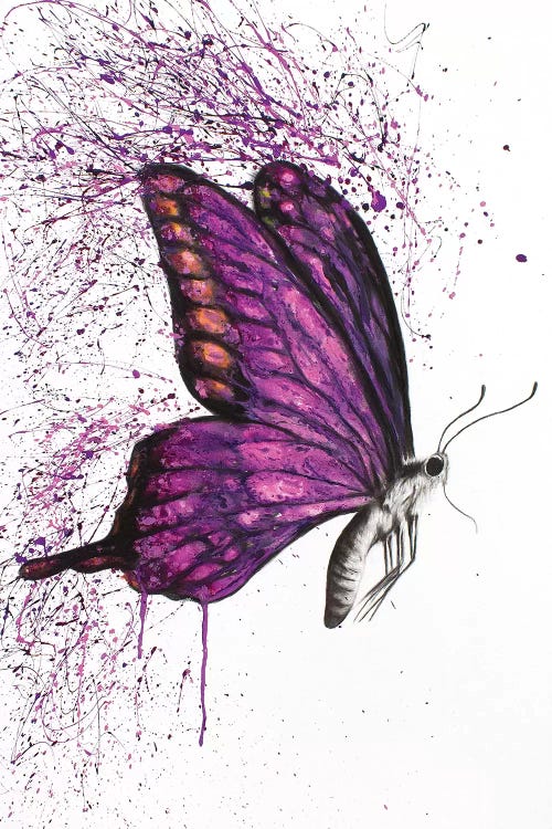 Song Of A Butterfly by Ashvin Harrison wall art