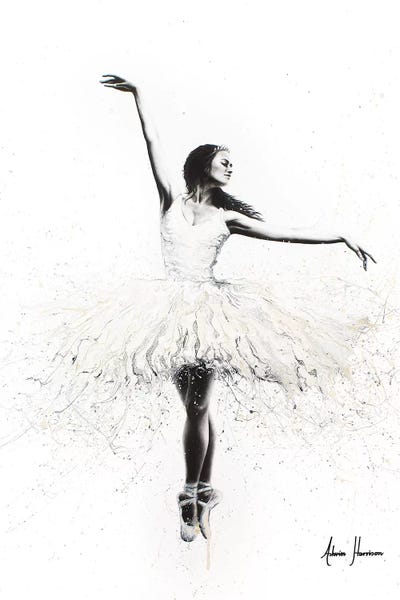 Hyper-Realistic & Detailed Drawings: The White Swan by Ashvin Harrison