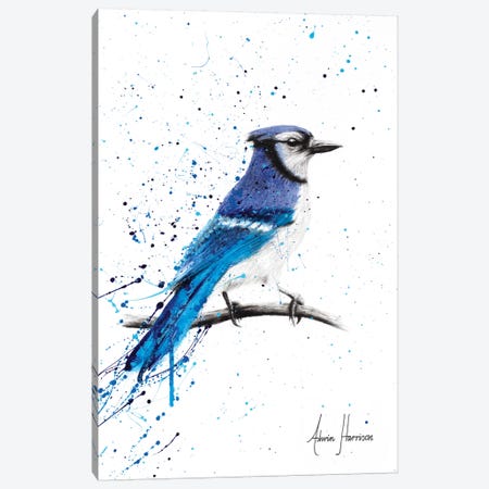 Blue Jay Sunday Canvas Print #VIN269} by Ashvin Harrison Art Print