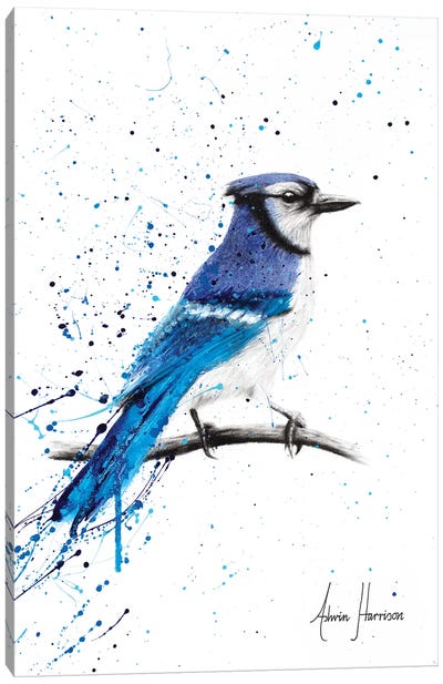 Blue Jay Sunday Canvas Art Print - Jay Art