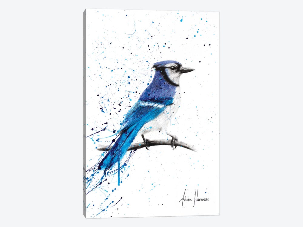 Blue Jay Sunday by Ashvin Harrison 1-piece Canvas Wall Art