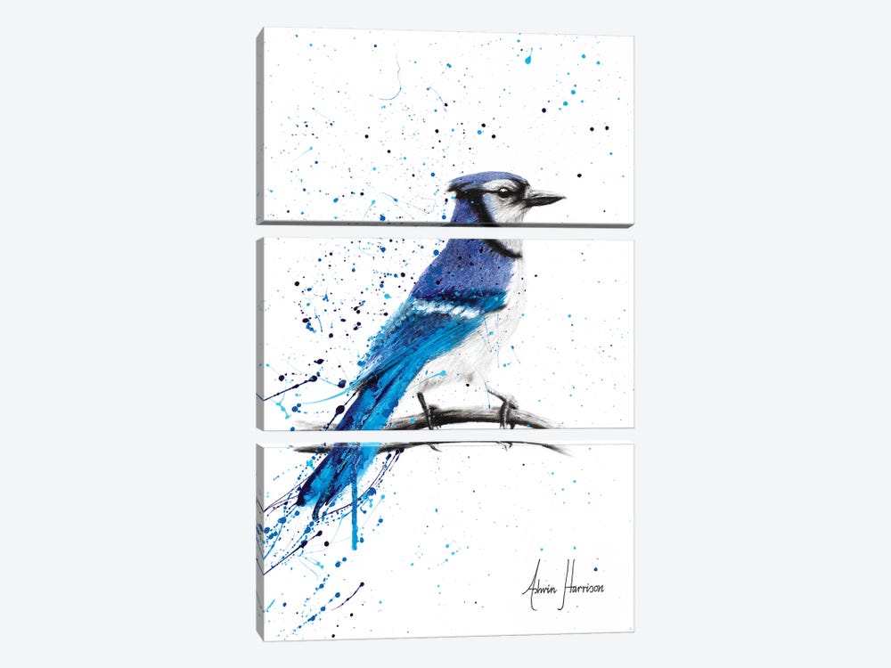 Blue Jay Sunday by Ashvin Harrison 3-piece Canvas Artwork