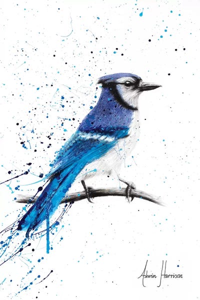 Ashvin Harrison - 2016-2022 Collection: Blue Jay Sunday by Ashvin Harrison - 2016-2022 Collection