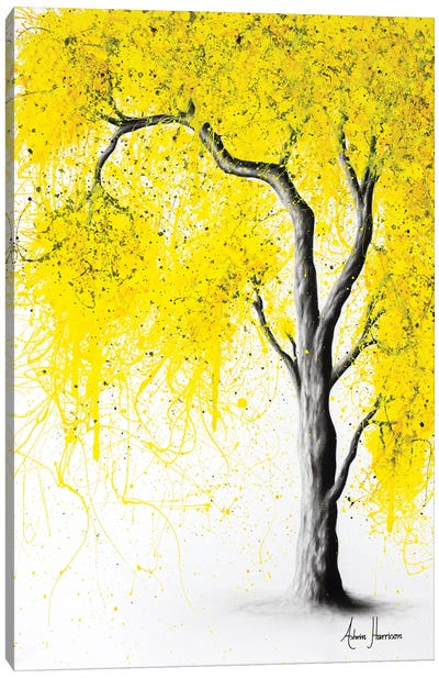 Fall Tree Trios Canvas Art Print - Hyper-Realistic & Detailed Drawings