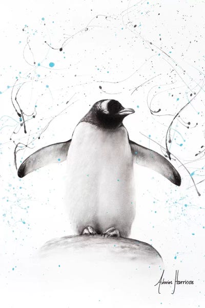 Penguin Parade by Ashvin Harrison canvas print