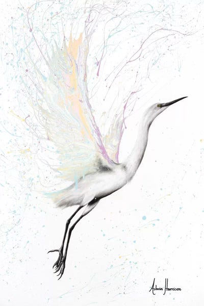 Hyper-Realistic & Detailed Drawings: Through New Eyes by Ashvin Harrison