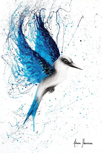 Hyper-Realistic & Detailed Drawings: Aussie Blue by Ashvin Harrison