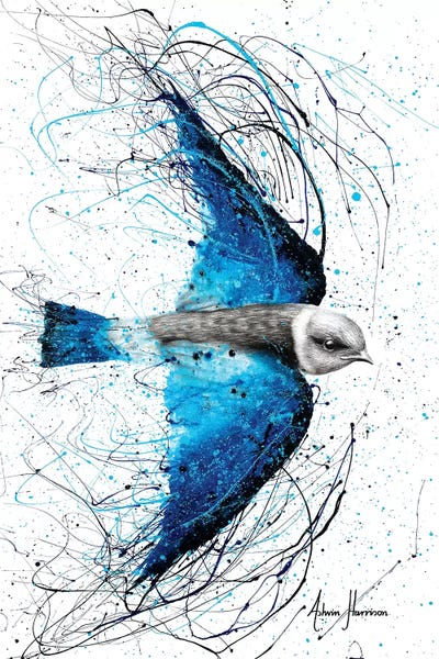 Hyper-Realistic & Detailed Drawings: Blue Bird Listener by Ashvin Harrison