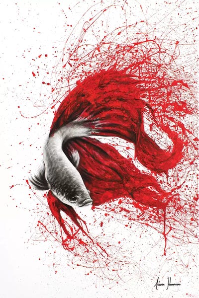 Betta: Fire Dance Fish by Ashvin Harrison