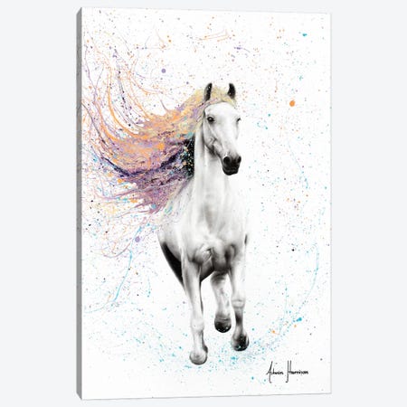 Horse Of Rhythm Canvas Print #VIN303} by Ashvin Harrison Canvas Wall Art