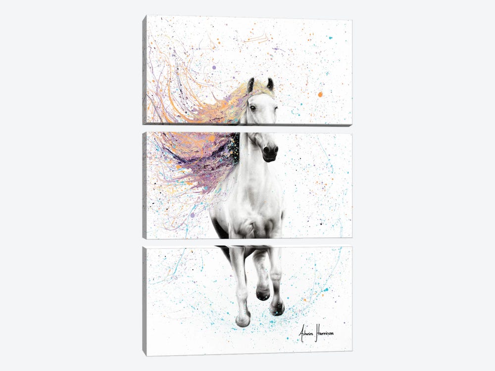 Horse Of Rhythm by Ashvin Harrison 3-piece Canvas Print