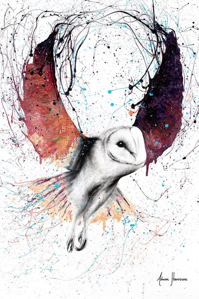 Midnight Owl by Ashvin Harrison canvas print