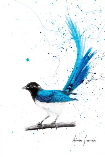 Black & White & Blue: Peaceful Thinker by Ashvin Harrison