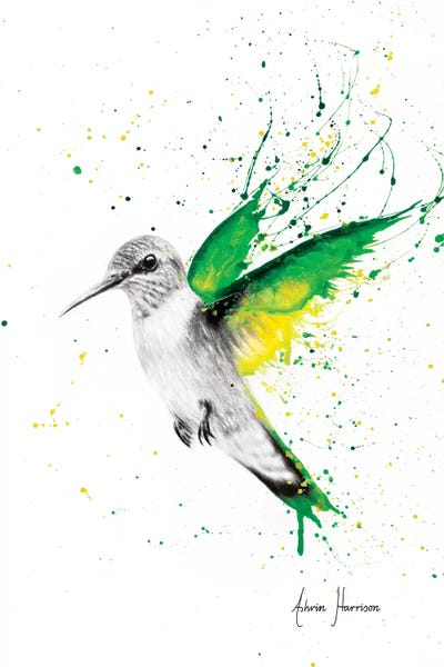 Hyper-Realistic & Detailed Drawings: Bird of Emeralds by Ashvin Harrison