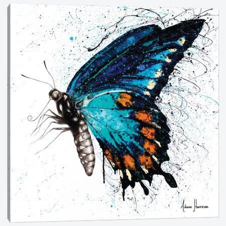Butterfly Bliss Canvas Print #VIN339} by Ashvin Harrison Canvas Art Print
