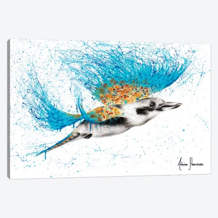 Clever Kookaburra Canvas Print #VIN340} by Ashvin Harrison Canvas Art