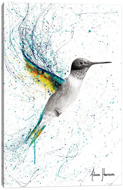 Finding Home Canvas Art Print - Hummingbird Art