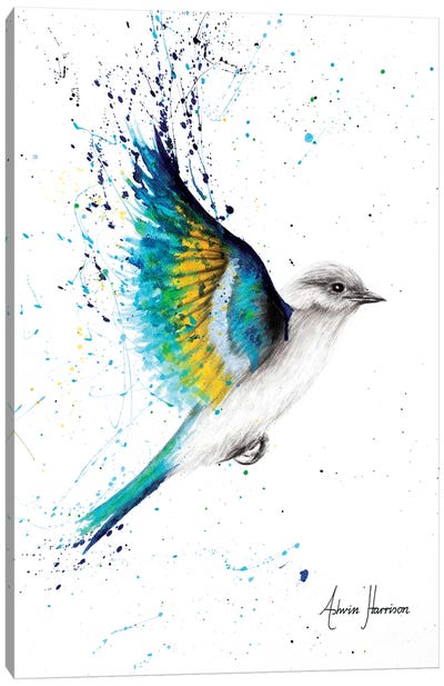 Freedom To Explore Canvas Art Print - Hummingbird Art