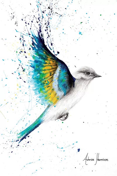 Hummingbirds: Freedom To Explore by Ashvin Harrison