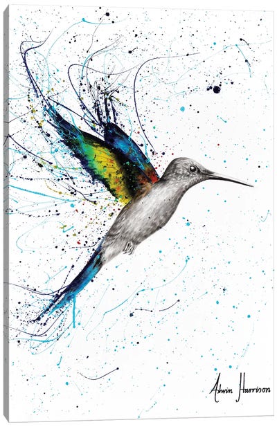 Happy Hummingbird Canvas Art Print - Hummingbird Art