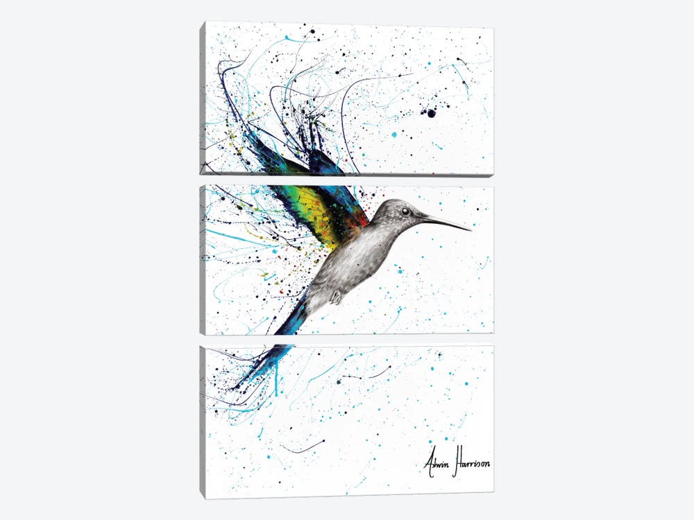 Happy Hummingbird by Ashvin Harrison 3-piece Art Print