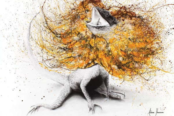 Lizards: Frilled by Ashvin Harrison