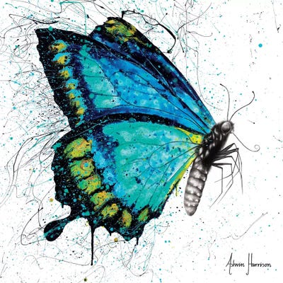 Morning Citrus Butterfly by Ashvin Harrison canvas print