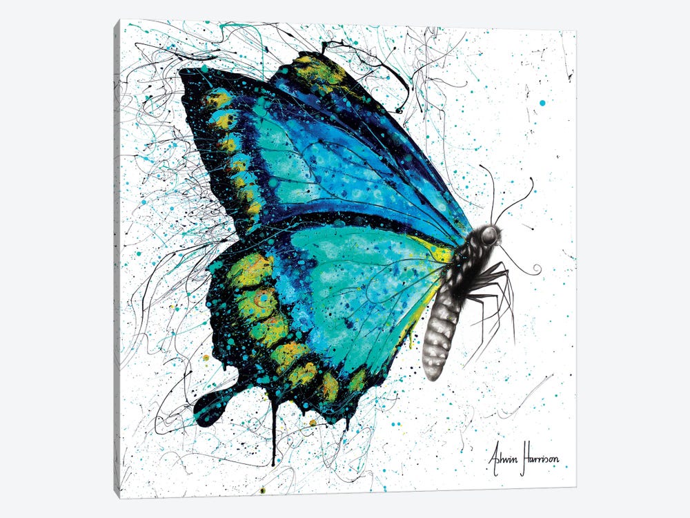 Morning Citrus Butterfly by Ashvin Harrison 1-piece Canvas Print