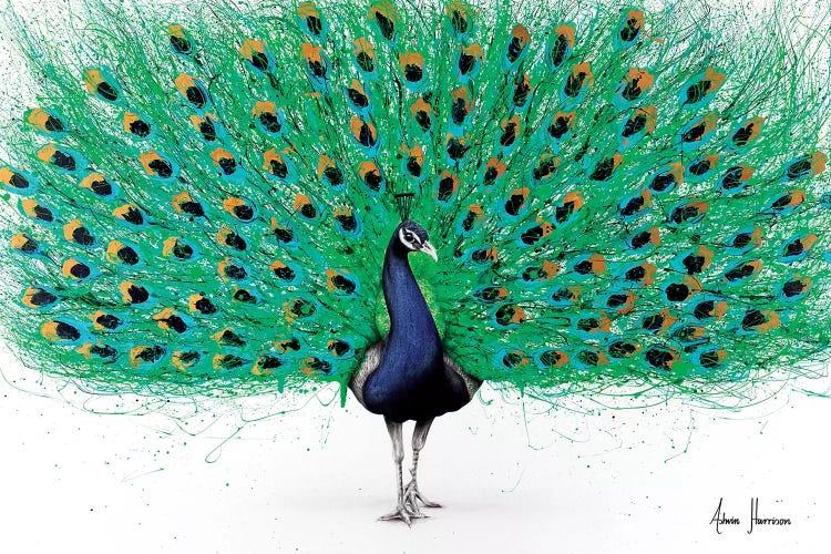 Proud Peacock by Ashvin Harrison wall art