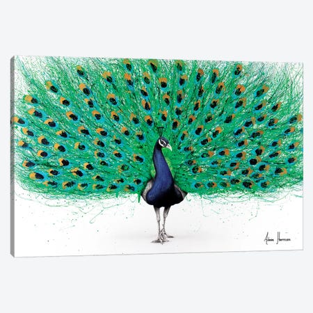 Proud Peacock Canvas Print #VIN361} by Ashvin Harrison Canvas Wall Art