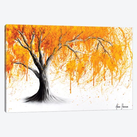 Rusting Desert Tree Canvas Print #VIN365} by Ashvin Harrison Canvas Print