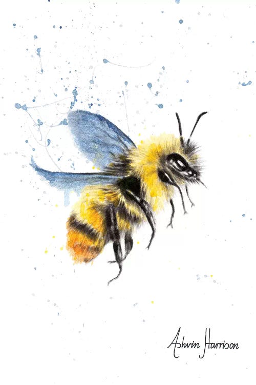 Sun Bee by Ashvin Harrison wall art