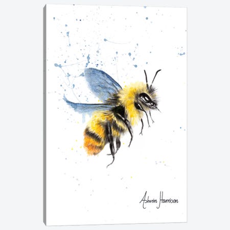 Sun Bee Canvas Print #VIN368} by Ashvin Harrison Canvas Artwork