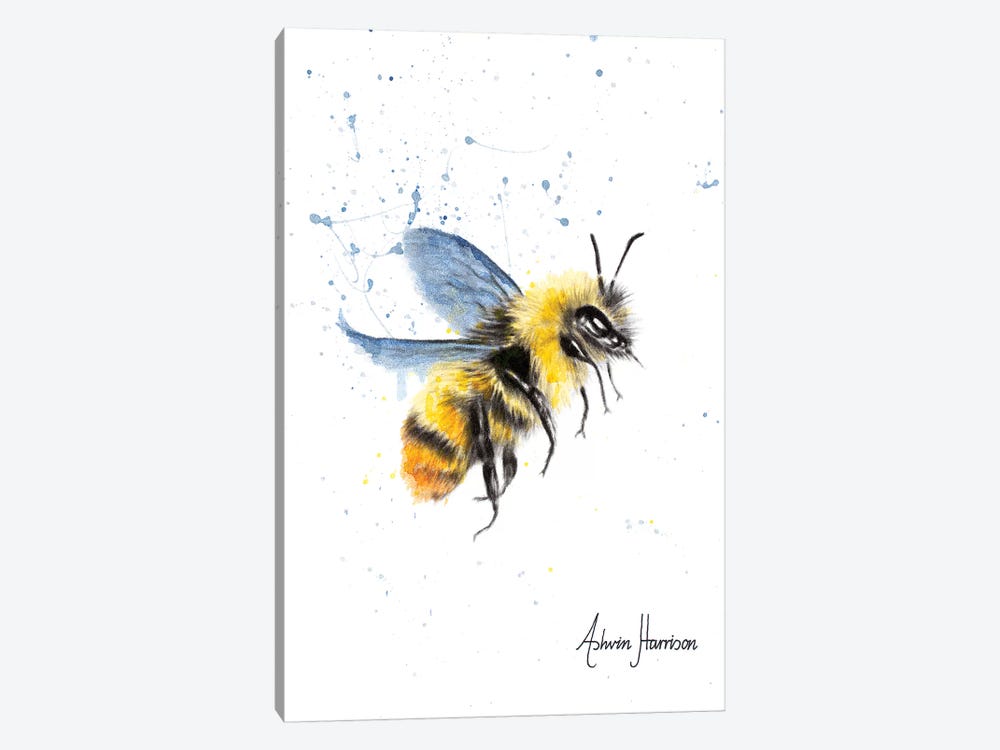 Sun Bee by Ashvin Harrison 1-piece Canvas Art