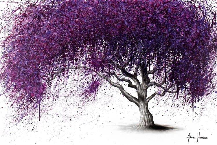 Violet Shadows by Ashvin Harrison wall art