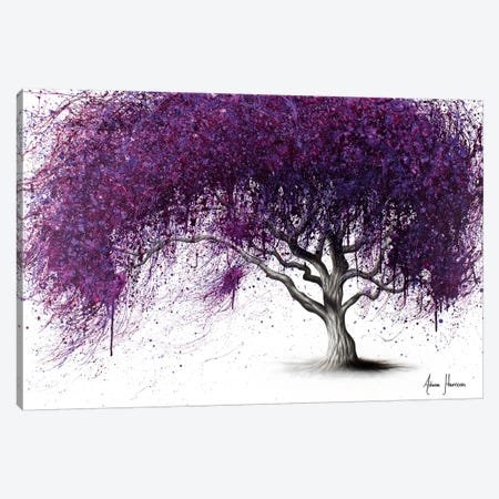 Violet Shadows Canvas Print #VIN377} by Ashvin Harrison Canvas Wall Art