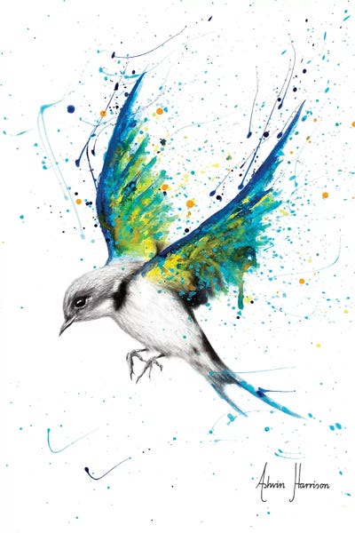 Hummingbirds: Within A Lake by Ashvin Harrison