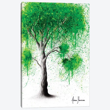 Green Acre Tree Canvas Print #VIN385} by Ashvin Harrison Art Print
