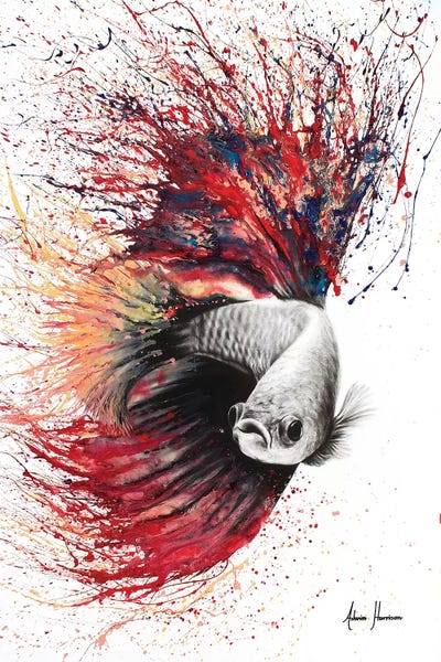 Betta: Heart Of Flames by Ashvin Harrison