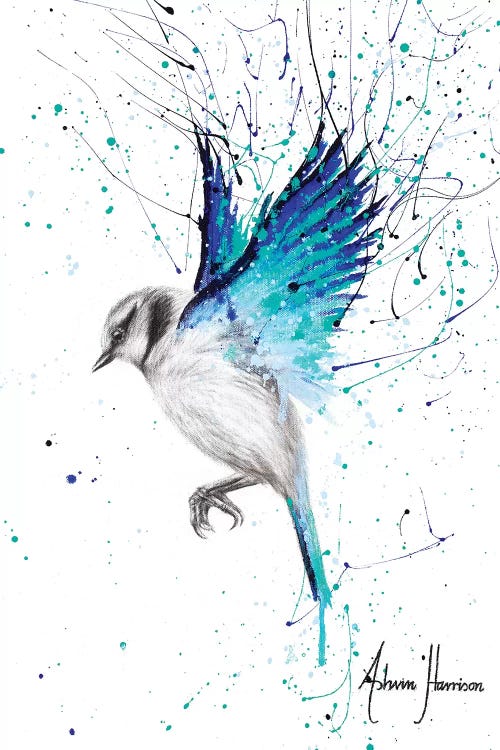Tranquil by Ashvin Harrison wall art
