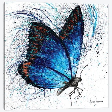 Lone Shy Butterfly Canvas Print #VIN405} by Ashvin Harrison Canvas Art