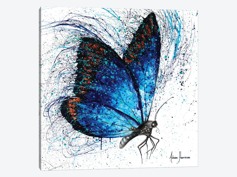 Lone Shy Butterfly by Ashvin Harrison 1-piece Canvas Art