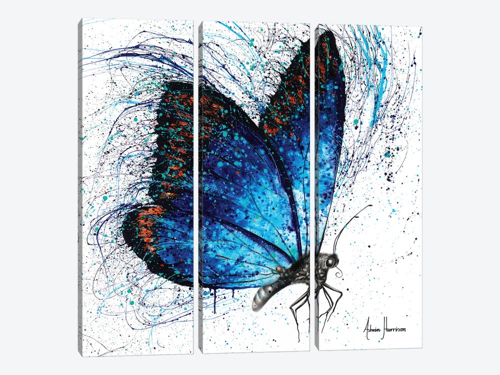 Lone Shy Butterfly by Ashvin Harrison 3-piece Canvas Art