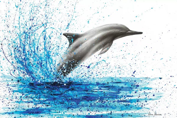 Dolphins: Holiday Feeling by Ashvin Harrison