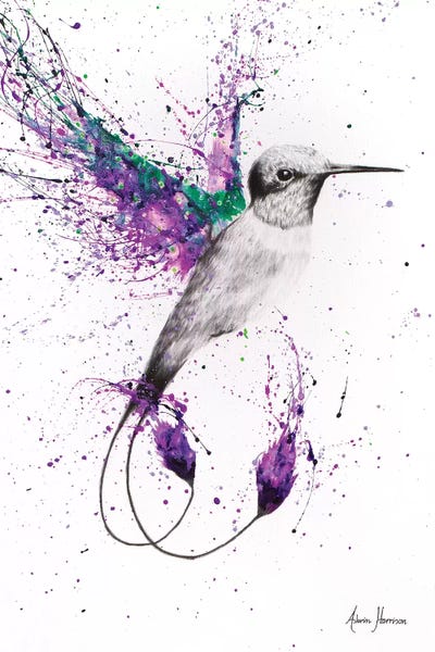 Hummingbirds: Humming Home by Ashvin Harrison